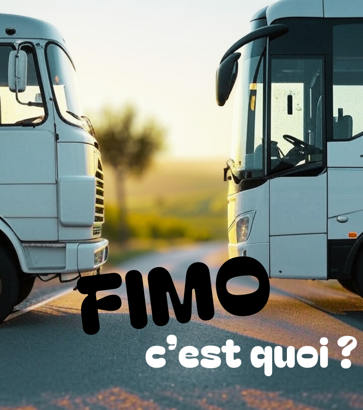 Formation FIMO